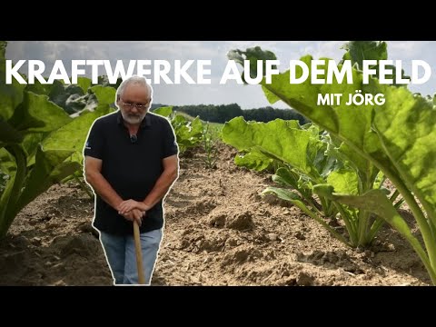 , title : 'Von Experten für Profis –  Zuckerrüben kleine Kraftwerke auf dem Feld'