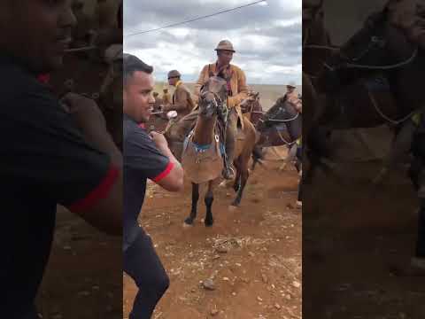 PEGA DE BOI NA FAZENDA BARRA DA FORTUNA EM UAUÁ BAHIA#vaqueiro #cavalo #pegadeboinomato #foryou #fyp