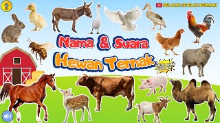 Download lagu Learn to Recognize the Names and Sounds of Farm Animals - Learning After Playing mp3 Download lagu Learn to Recognize the Names and Sounds of Farm Animals - Learning After Playing mp3
