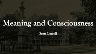 Meaning and Consciousness: Sean Carroll