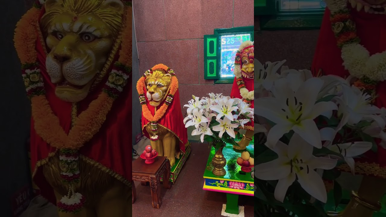 YouTube Short thumbnail