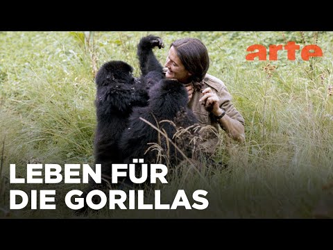 Dian Fossey: Ihr Leben für die Gorillas | ARTE Fernweh