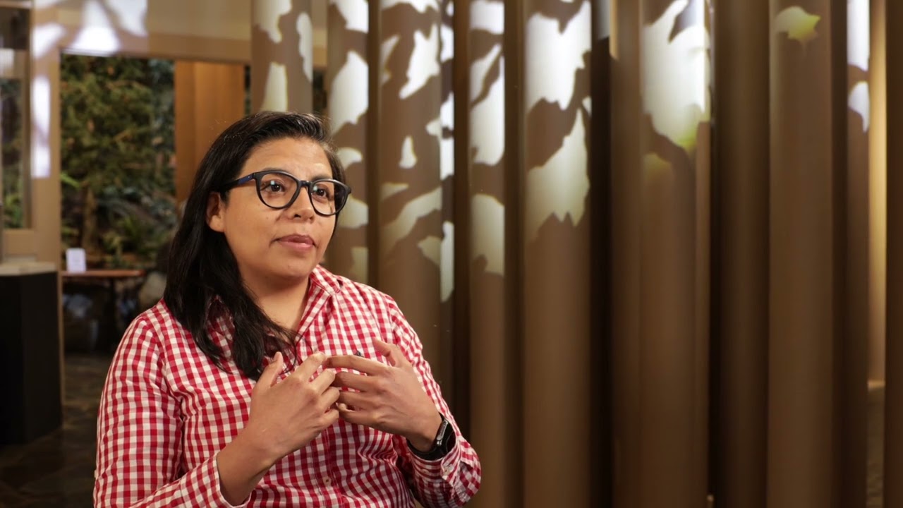 Introducing Our Fellows