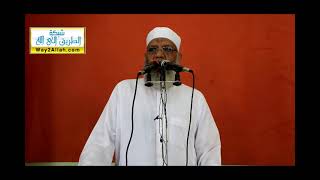 رمضان شهر الدعاء والاجابة والنصر | الشيخ شوقي عبد الصادق image