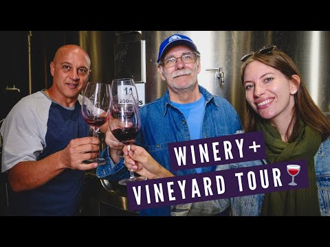 門多薩酒莊+葡萄園之旅 ? - 參觀阿根廷邁普的BODEGAS LUMINIS ? (Mendoza WINERY + VINEYARD Tour ? | Visiting BODEGAS LUMINIS in Maipu, Argentina ?)