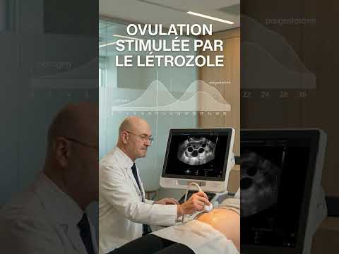 Frozen embryo transfer with letrozole