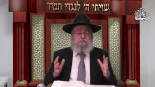 דף היומי בחצי שעה - עירובין דף ע"ה