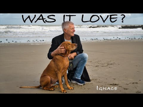 Ignace - Was It Love? (MUSIC VIDEO)