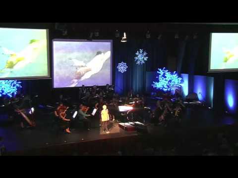 'Walking in the Air' performed by Perth Symphony Orchestra and Lukas Steinwandel