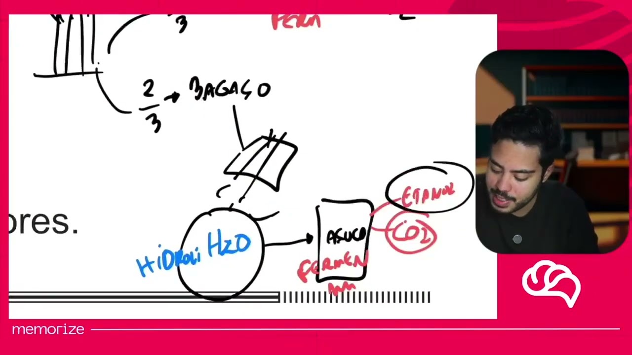 Resolução em Vídeo — Questão 61 ENEM 2014 PPL