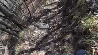 preview picture of video 'In mountain bike a Trento sul Chegul'
