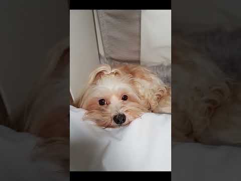 Weltevreden in Zoutelande