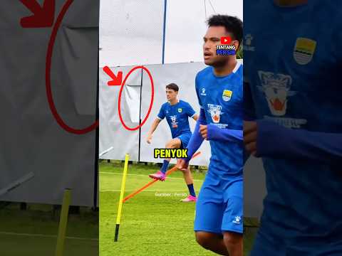 Panel Baru Persib Langsung Penyok? 😱