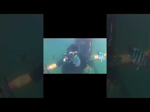 POV: My Two Personalities Finally Met 😂 #youtubeshorts #bikerlife #scubadiving #royalenfield