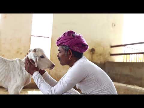 Documentary on Suri Prem Jeev Raksha Kendra, Pralai