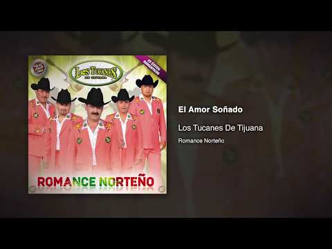 El Amor Soñado - Los Tucanes De Tijuana [Audio Oficial]
