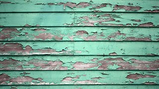 Lead poisoning can have lasting effects on a child's health