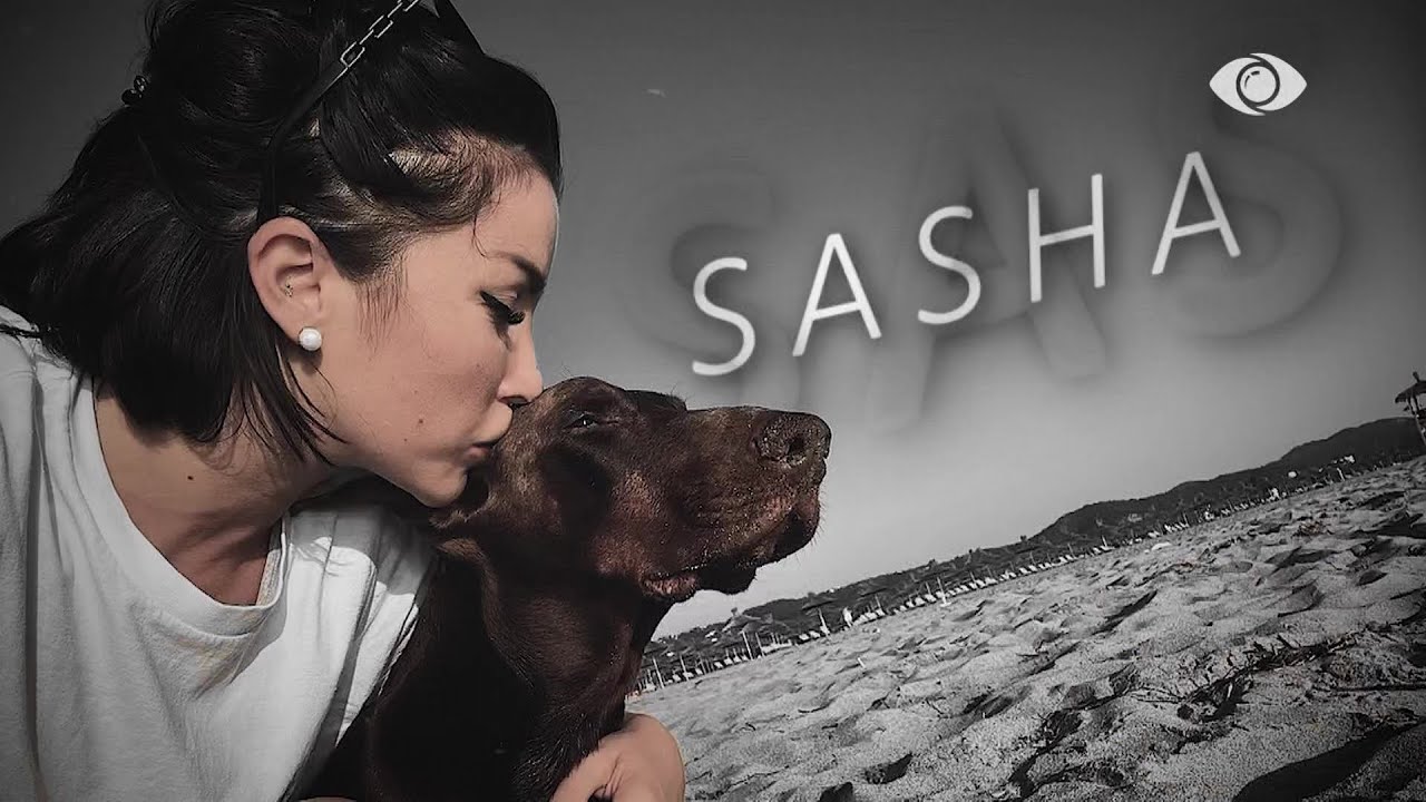 Njerëzit më kanë zhgënjyer, kafshët jo, rrëfimi emocionues i Rozës