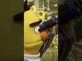 Ernie Is Bert Watching Sesamestreet