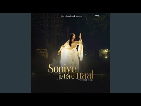 Soniye Je Tere Naal