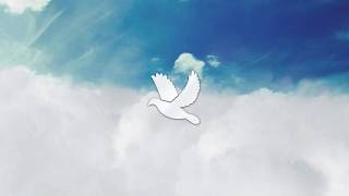 Heavenlly - The Obituary App for creating memorials and death notices