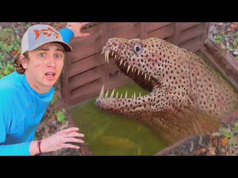 Narazil jsem na kanál plný příšer!