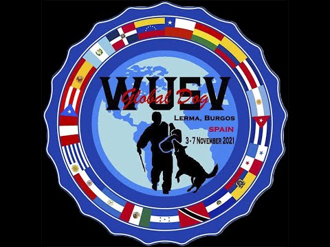 WUSV-Weltmeisterschaft IP 2021