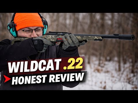 Winchester Wildcat 22 Rifle Review- Budget Friendly Blaster!