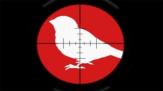 ЗАЧЕМ КИТАЙЦЫ УНИЧТОЖИЛИ ВСЕХ ВОРОБЬЕВ?