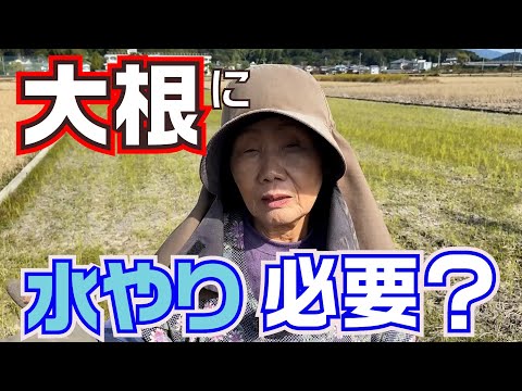 発芽後の水やり