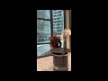 Peak One GmbH Video 