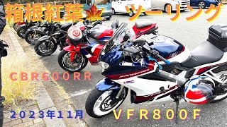 ２０２３年１１月 平日ツーリング　湯河原パークウェイ　箱根紅葉　アライ　フォトクロミックシールド装着　民宿いなほランチ　ＶＦＲ８００Ｆ　ＣＢＲ６００ＲＲ