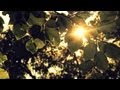 Mt eden - Still Alive (Electus remix) 