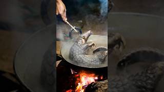 Download lagu Trenggiling, Diburu Karena Sisiknya Yang Mahal #infauna mp3