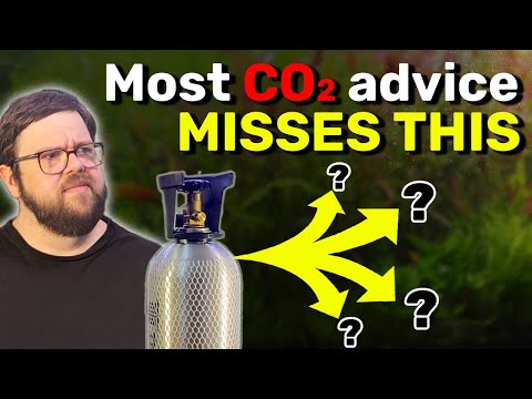 Iniezione di CO2 in acquario: una conversazione onesta