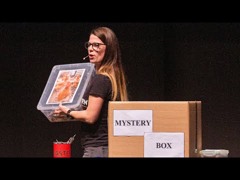Beti Vidmar: “Microbes on a »light as a feather« mission“ (Science Slam European Final 2019)
