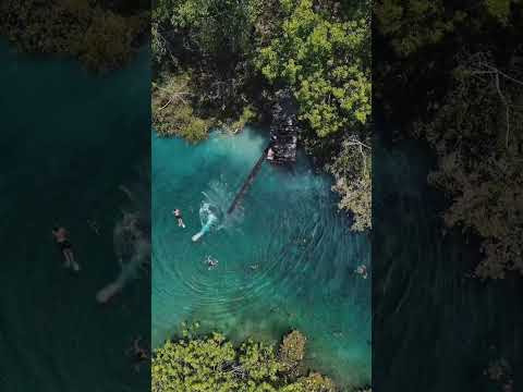 A Nascente do Rio Bom Jesus é um verdadeiro paraíso de águas cristalinas escondido em Goiás… #shots