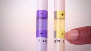 InSite Salmonella Species Environmental Test Instructional Demo