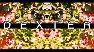 Dexter - Somebody New (Raw Random Files)