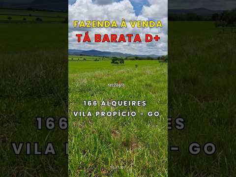 🌱 166 ALQUEIRES EM VILA PROPÍCIO - GO #fazenda #tec2agro #agro