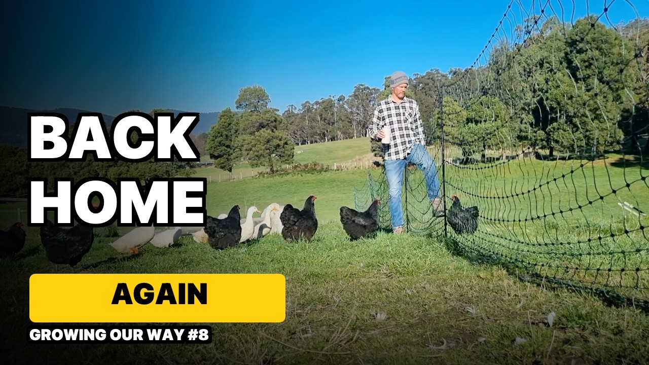 Still from Growing Our Way video 8, back home on the Tasmanian homestead