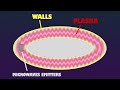 How UFOs/UAPs Fly According To The Pais Patent