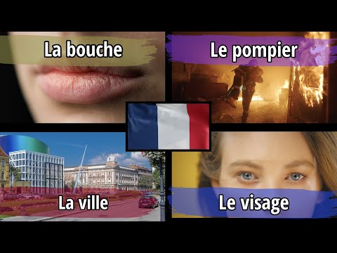400 French Words for Everyday Life - Basic Vocabulary with Comprehensible Input French