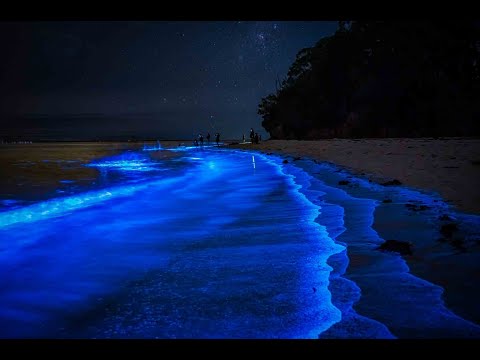Jervis Bay After Dark