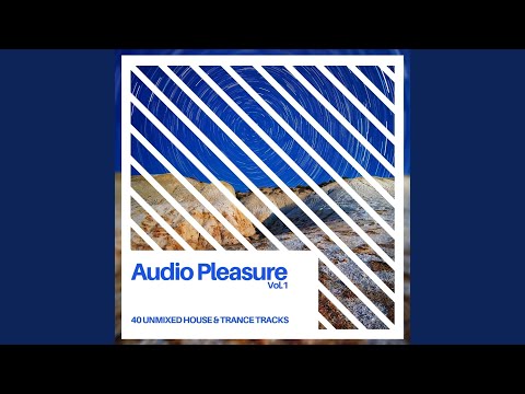 Burning Bridges (Original Mix)