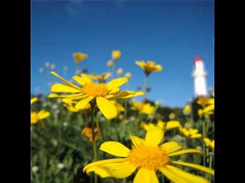 TSYT - Colorblind (Dub Mix)