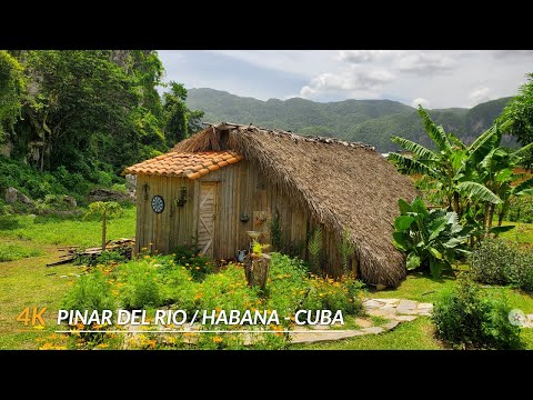 【4K】Cuba and its Western landscapes. Pinar del Rio,Vinales,Las Terrazas and La Habana.July 2024.