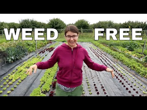 YouTube video about Banishing Thistles: Your Guide to a Weed-Free Garden