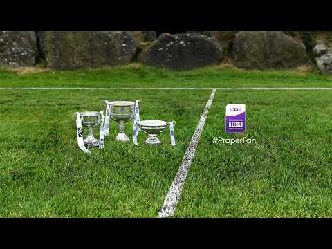 Highlights of Roscommon v Wexford