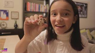 LLEGARON LOS REYES MAGOS / ME LLEVÉ UNA SORPRESA